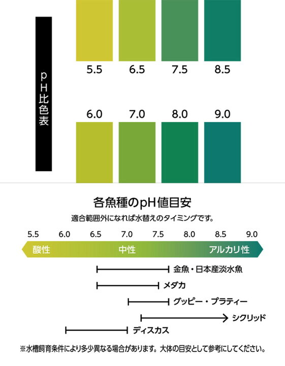 楽天市場 マルカン ニッソー事業部 カンタンおさかなの水質チェックシート 40枚入 ペット用品 熱帯魚 アクアリウム用品 水槽用品 リコメン堂生活館