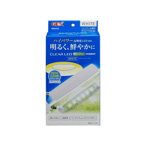 WFbNX GEX NALED GRIA[ p[ zCgyz