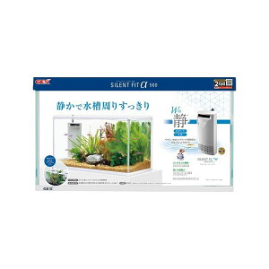 WFbNX GEX TCgtBbgAt@500yz