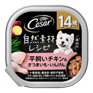 }[XWp~ebh V[U[ RfރVs 14΂ `L&܂E񂰂 85g