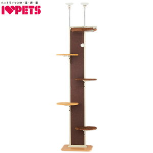 {rAR LbgEH[N_ ܂Ƃ Lbg^[ L^[ Lbgc[ Lc[ ˂ ˂莮 nbNt X ȃXy[X CeA {ryz