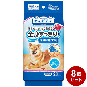 y8Zbgz GG[ybg L~ SgV[g ^p 20 ybgp {fB^I {fBV[g EFbgeBbV pyz