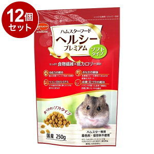 y12Zbgz {ybgt[h nX^[t[h wV[v~A \tg^Cv 250gyz