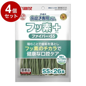 y4Zbgz }J TCY S̎pK tbfvX t@Co[SSTCY NtB 26{yz