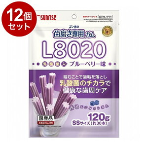 y12Zbgz }J TCY S̎pKSSTCY L8020_ۓ u[x[ 120gyz