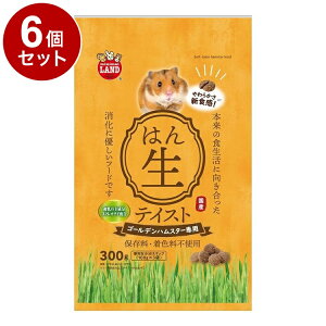 y6Zbgz }J nX^[t[heCXg S[f 300gyz