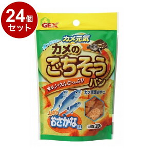 y24Zbgz GEX WFbNX JC Ĵp  20gyz