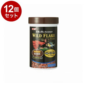 y12Zbgz GEX WFbNX Cht[N voCI 52gyz