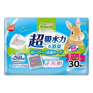 �}���J�� �������̃g�C���V�[�c �X�N�G�A 30��