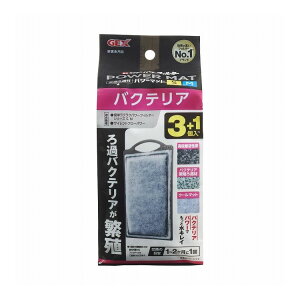 GEX WFbNX oNeAp[}bg SM 3+1N