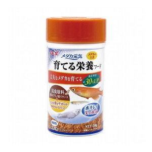 GEX WFbNX _JC Ăh{t[h 30g