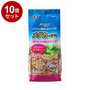 y10Zbgz GEX WFbNX _Ji _J̍ `F[sN 1kgyz