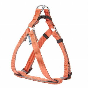 AhCg \tgXLbvn[lXM bhyz