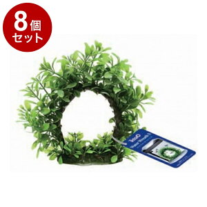 y8Zbgz eg EH[^[[X Syz