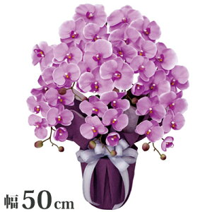 GKgӒ5{L ϗtA CeA G}  Mtg v[g 蕨 lHϗtA 453A80 ЃA[gNGCV(s)yz