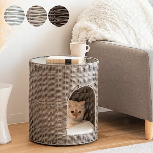 L LbgnEX ^LbgnEX ^Cv L nEX ^ TChe[u ybg KXV iCge[u ~je[u \t@[e[u lRnEX CGR-4