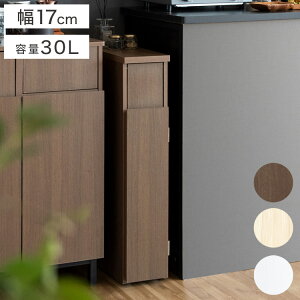 S~ X_Xg{bNX 17cm Santia TeBA vbV 30bg vbV Lb`y[ XfUC ݂΂ ؖڒ(s)yz