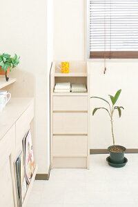 { i 32.5 JE^[ [ o Lb`JE^[ Y `FXg 3i db t@bNX X RpNg kyz