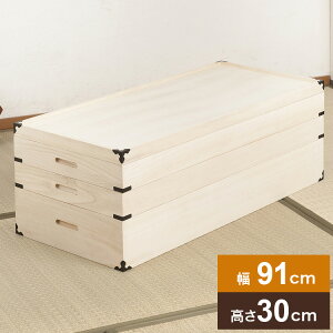 ˈߑ 2i 30cm t ˃P[X ߑP[X  N[[bg ˂ ۊǌ ۊǃP[X  ߗގ[ m (s)yz