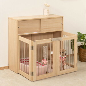 marine hbOP[W  ybg Q[W  gC [  ȃXy[X CeA  ybg T[N ܂ RpNg q ͂ i` ؖڒ(s)yz