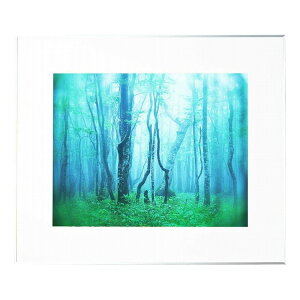 kenko �P���R�[ Kenko �A���~�z�� �M�������[ �V���o�[ �S�� AGY-Z-SV�y���������z