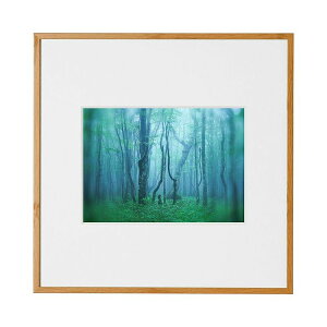 kenko �P���R�[ Kenko �A���~�z�� �M�������[ �i�`������ 2L�X�N�G�A AGY-2LSQ-NA�y���������z