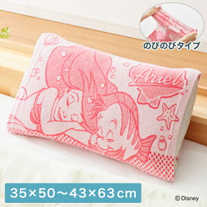 RۖhLH ̂т̂ ܂Jo[ AG 35×50 43×63 Jo[ pCn ^In ` Lk Xgb` qǂ  (s)y[ցzyz