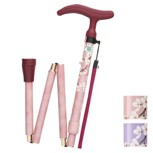 tWz[ WB3909 ւSt ANeBuO[X ܏ sN ܏ S XebL p[v  ԕ(s)yz