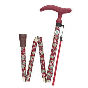 tWz[ WB3758 ANeBuO[X ܏  Cbh XebL (s)yz