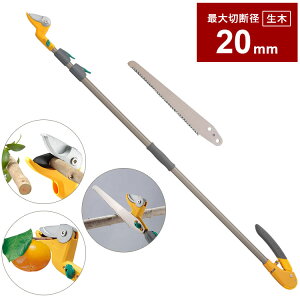 TV p t rvbVJbg 3iArn No.531-9 y Lk ͂  ͂ K[fjOpi  }  | |pi y y } E DIY(s)y