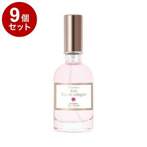 yPi9ZbgztFi_b`I[fR sNGEtHA FERNANDA R ϕi RX  tOX v[g 蕨 Mtgyz