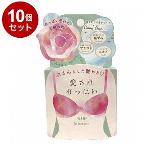 【単品10個セット】 愛されおっぱい 70g ボディケア スキンケア 角質ケア【送料無料】