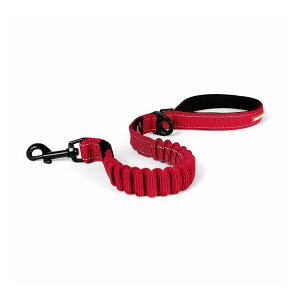 C[W[hbO EZ [VbN 64cm bhyz