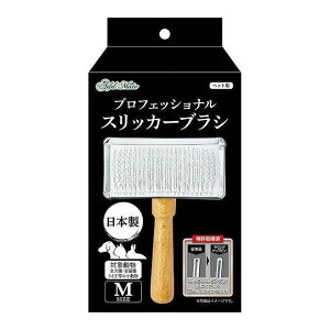 yeBI AhCg vtFbViXbJ[uV M