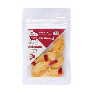 V ybǧb365 t NR̎GLXSXCXJbg 10g