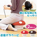 【2個セット】きの小いす 可愛い きのこ型 小椅子 スツール 北欧 雑貨 きのこ キノコ 正座椅子 テレビ枕 ごろ寝枕 TV…