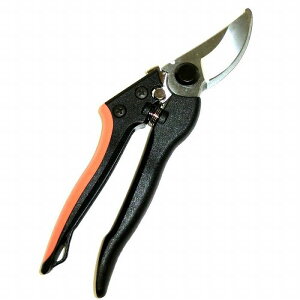 A[NhTJg CLUB J(A[NhTJg) yʙ 200mm