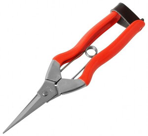 ѐ ѐ zH XeXE 185mm S-1