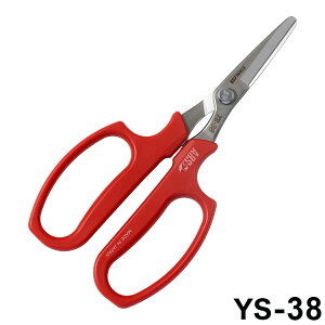 AXR[|[V ؎n  XeX YS-38  n _  ʎ s XeX