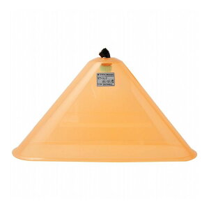 BIGM ێR쏊 ܐpmY T}[bN 20^ 411281