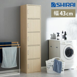 [bN t tjR 43cm i` [ 179.7cm ؖڒ }Olbg e 5i Vv JtF k Jg[ Ebh  킢  i` V[Y 