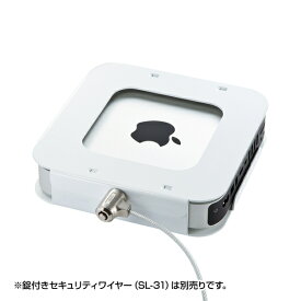Mac miniセキュリティ(eセキュリティ) サンワサプライ SLE-21SMM(代引き不可)【送料無料】