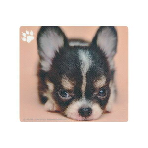 �T�����T�v���C �����}�E�X�p�b�h(�`����) MPD-215C(����s��)