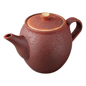 信楽焼 シガラキポット 鉄赤 Chaー2ー4 和陶器 和陶茶器 土瓶単品(代引不可)【送料無料】