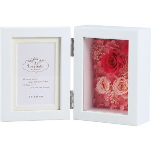 Ey^tHgt[ T[rXLWt^CvsN t^Cv 1000127325(s)yz