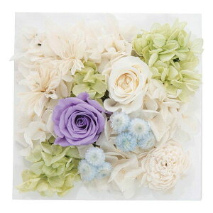 �v���U�[�u�h�E�H�[���t�����[(�X�N�G�A) �p�[�v�� ncr-wallpri02-pu ���������i �ԁE�O��-�� �h���C�A�����W��(����s��)�y���������z