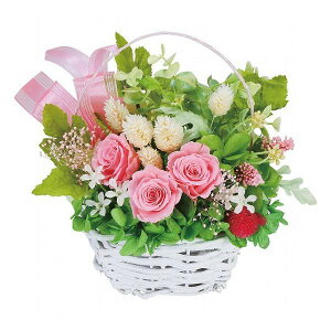 �v���U�[�u�h�t�����[�ē��� �s���N 1000136029 ���������i �ԁE�O��-�� �A-�g�A�����W��(����s��)�y���������z