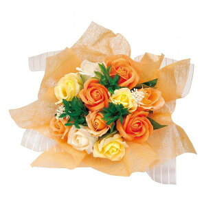 XJ[bgu[P(\[vt[) IW FDC2NSCO i G ̑G(s)yz