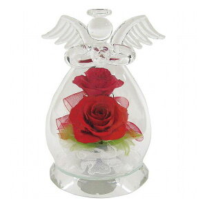 �{�g���t�����[ �V�g 2�֑}���E����t ���C�����b�h 1000063368 ���������i �ԁE�O��-�� �h���C�A�����W��(����s��)�y���������z