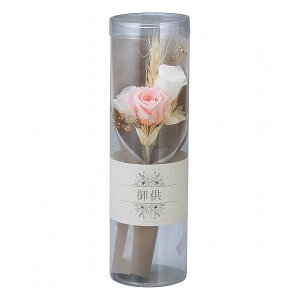 vU[uht[ ~() sN ncr-25-bk04-pi i ԁEO-(s)yz